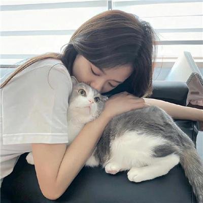 夏日福星粤语